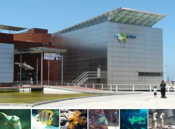 Primera Linea Playa+Parking Gratis Gijón Zewnętrze zdjęcie